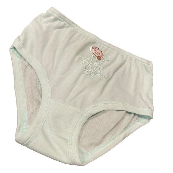 Soen SMP Semi Full Panty Pastel Color Embroidered Size Large - Picture 3 of 7